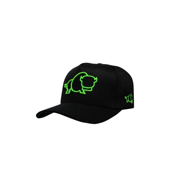 Boné Sports Cap Bizon (Verde)