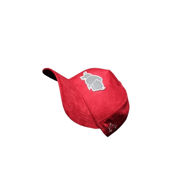 Boné Sports Cap Bizon (Vermelho)